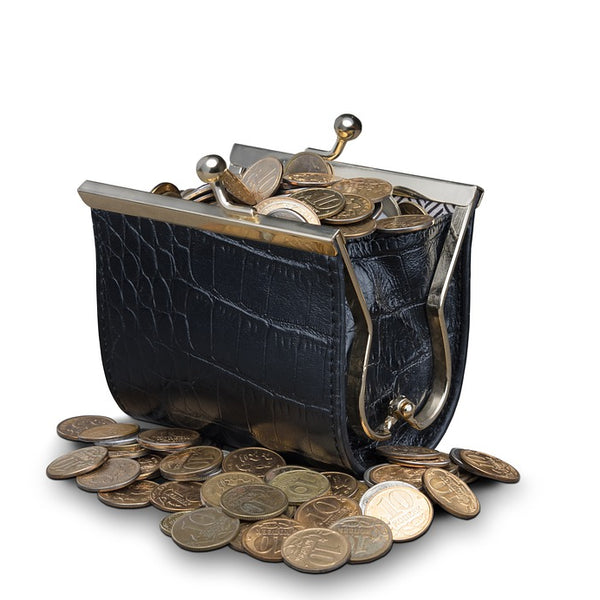 Coins in purse deals