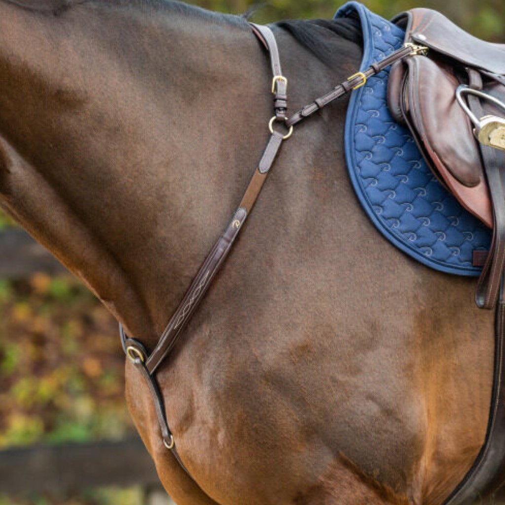 DYON D Collection Bridge Breastplate| Equestrian Excellence