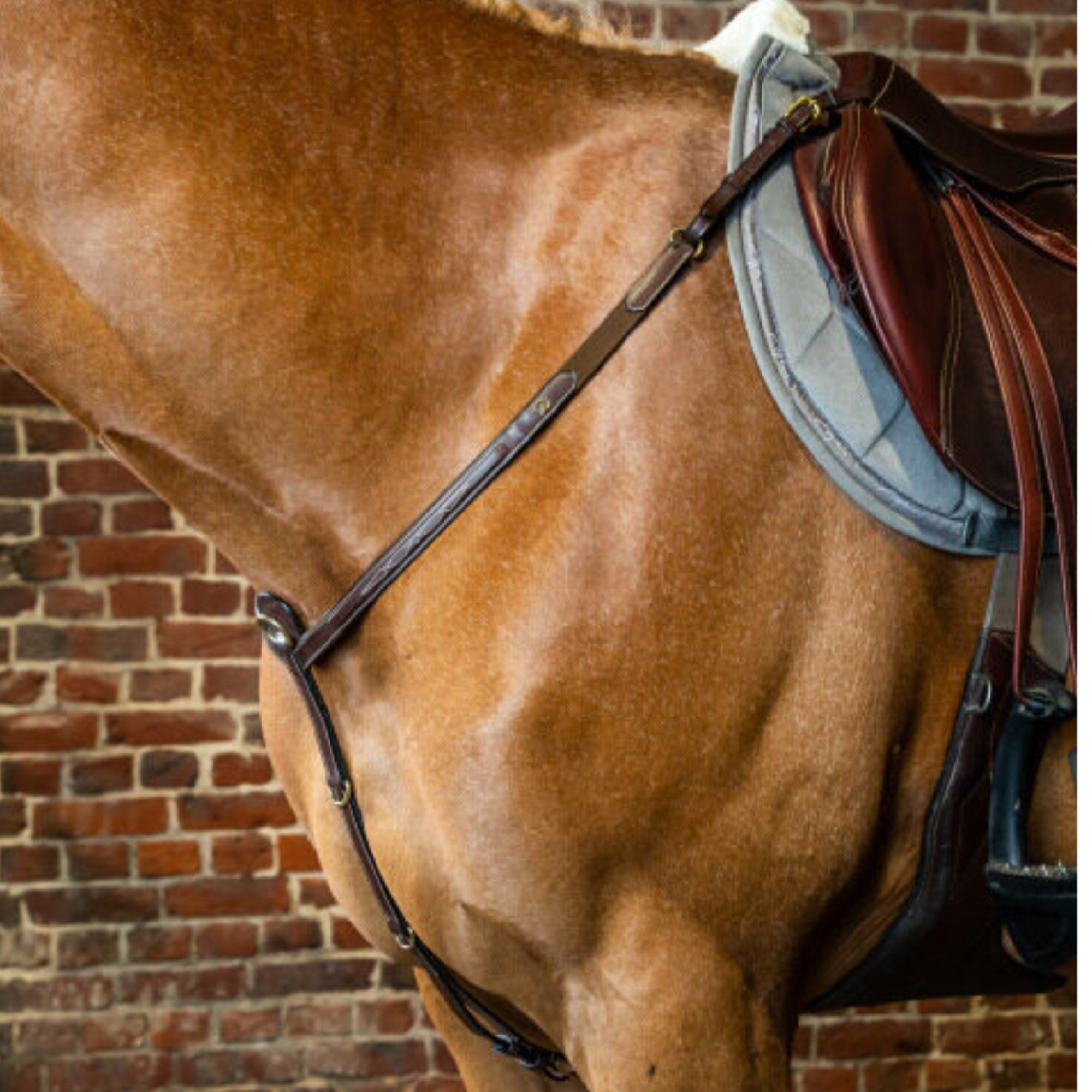 DYON D Collection Breastplate|Premium Equestrian Accessory