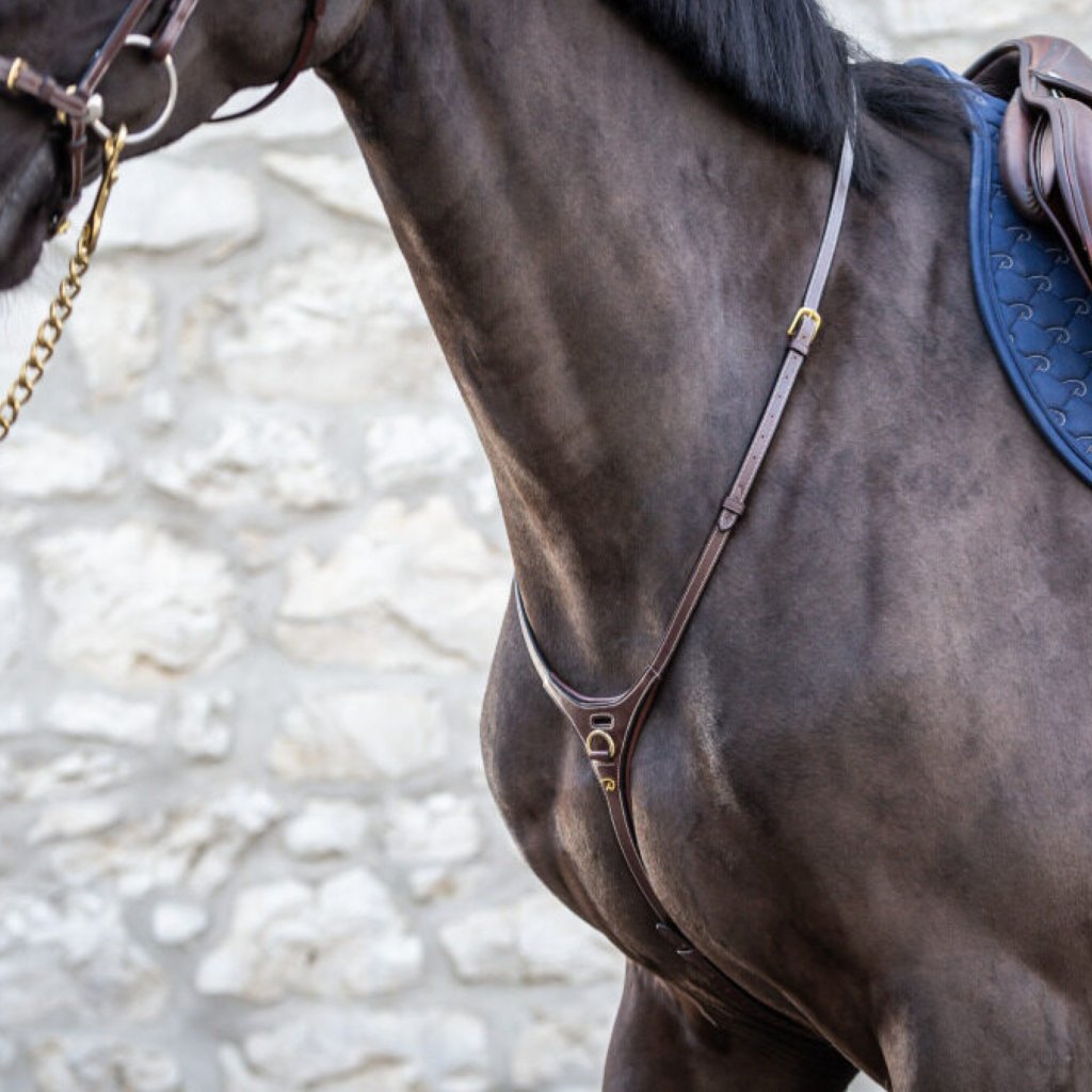 DYON D Collection Yoke| Exceptional Equestrian Accessory