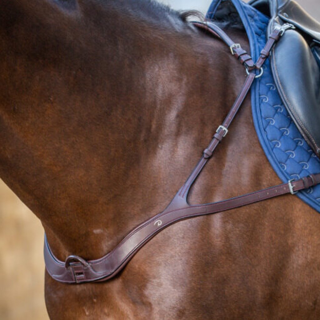 DYON New English Collection Anatomical Breastplate|Superior Equestrian Gear