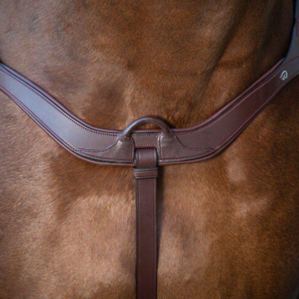 DYON New English Collection Anatomical Breastplate|Superior Equestrian Gear