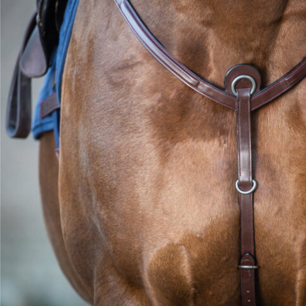 DYON New English Collection Breastplate|Equestrian Excellence