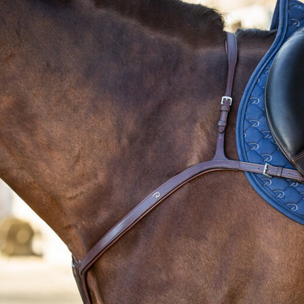 DYON New English Collection Long Bridge Breastplate| Premium Equestrian Gear