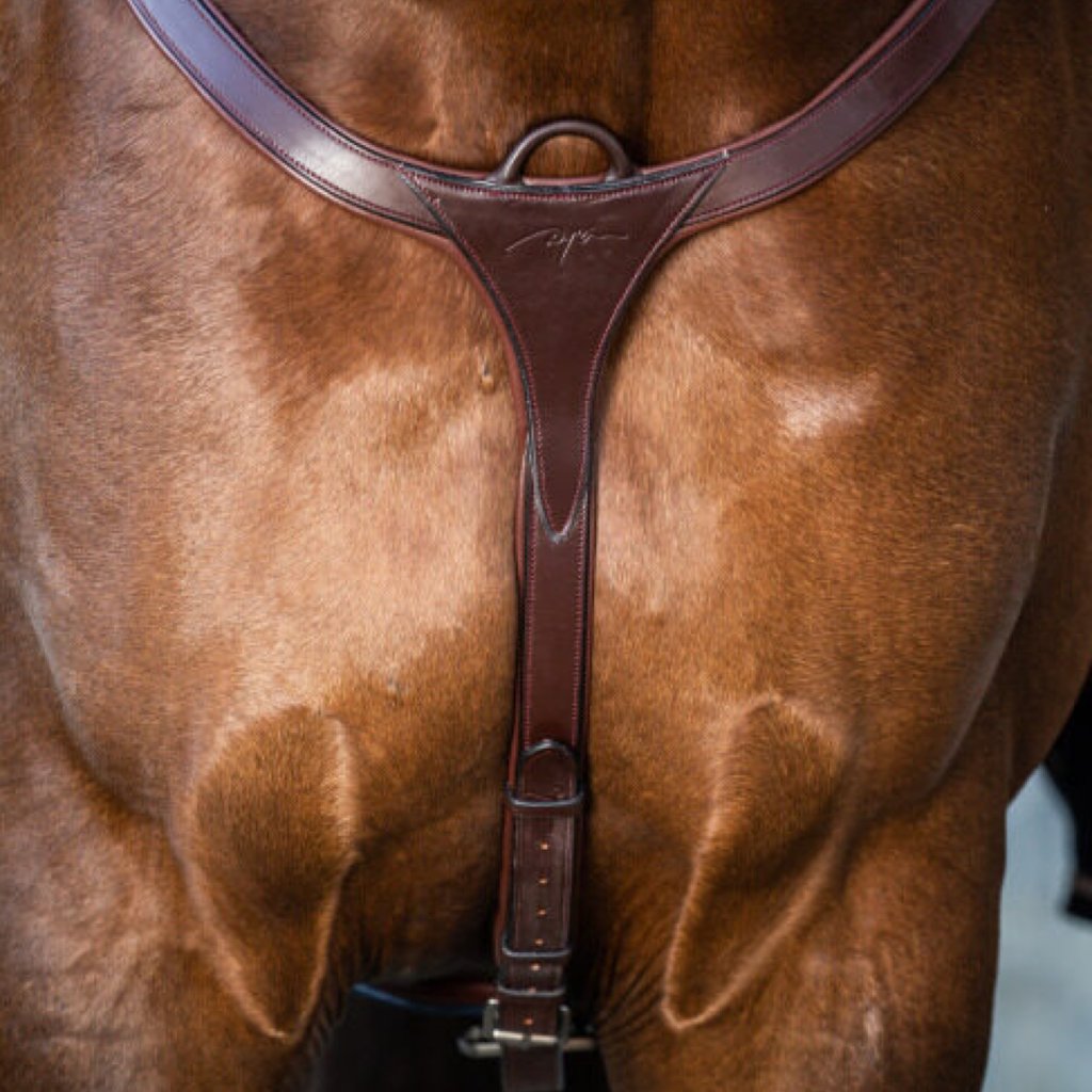 DYON New English Collection Long Bridge Breastplate| Premium Equestrian Gear