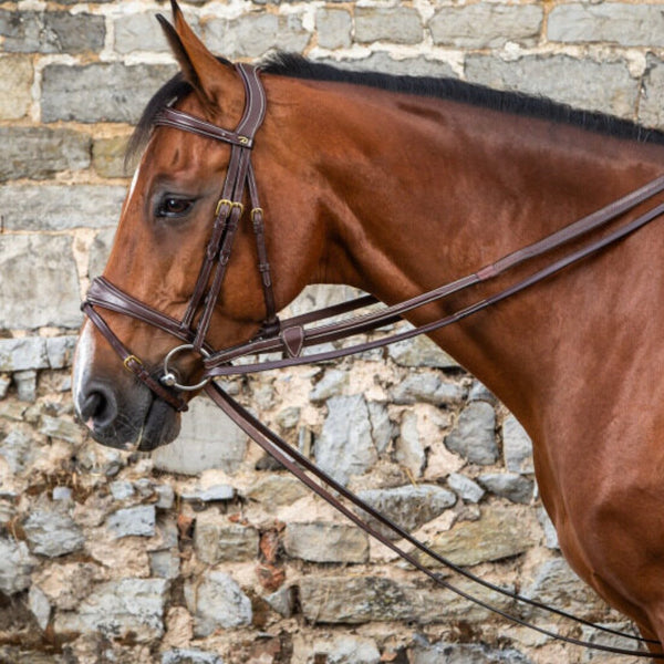 Horse reins, horse bridle, leather horse bridle, Horse Breastplate, horse saddle