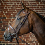 Horse Bridle, Horse reins, Horse Breastplate, work Bridle, Leather Bridle
