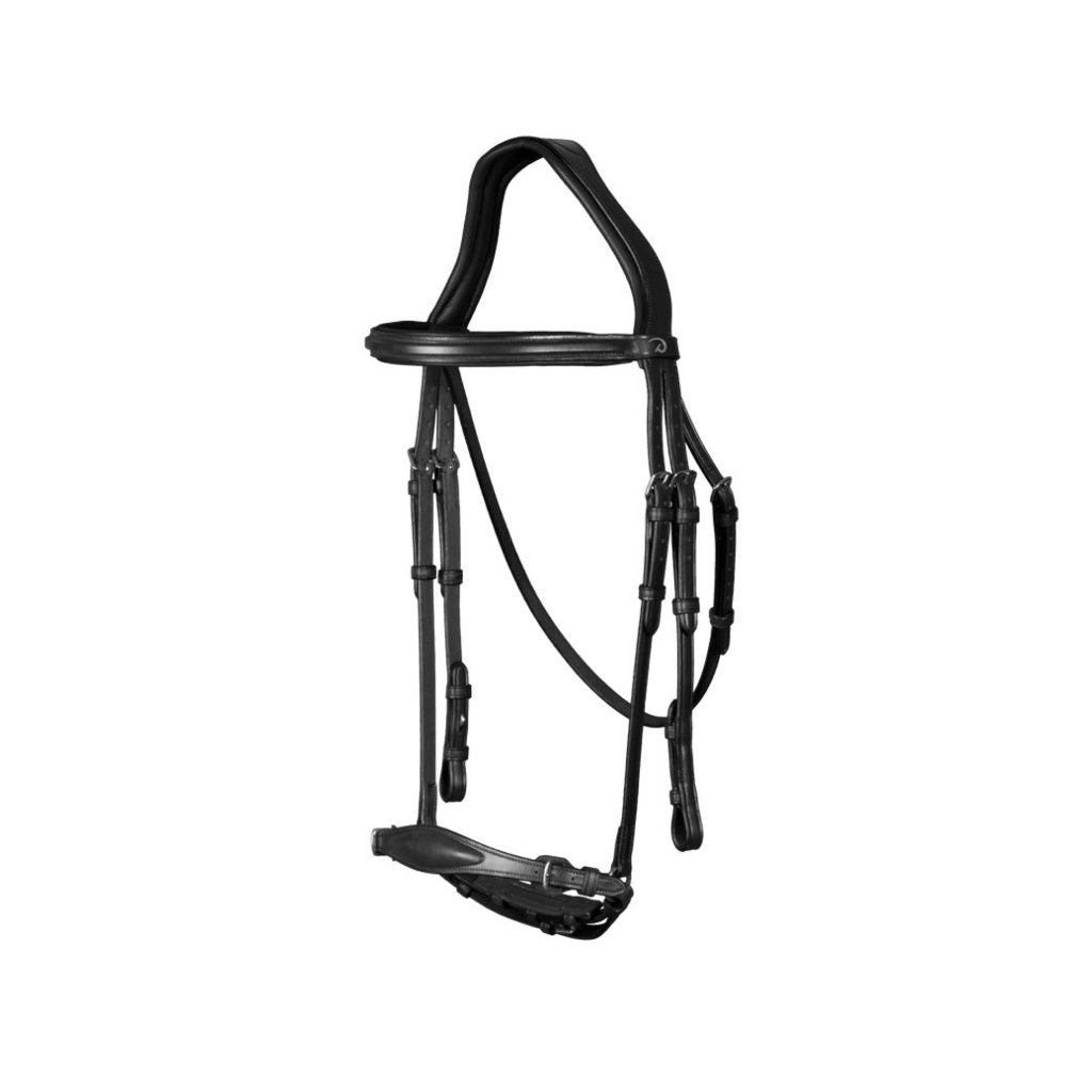 Adjustable Drop Noseband Bridle from DYON's New English Collection