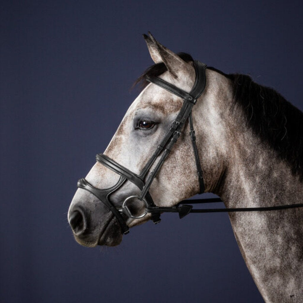 Double Noseband Bridle from DYON's New English Collection