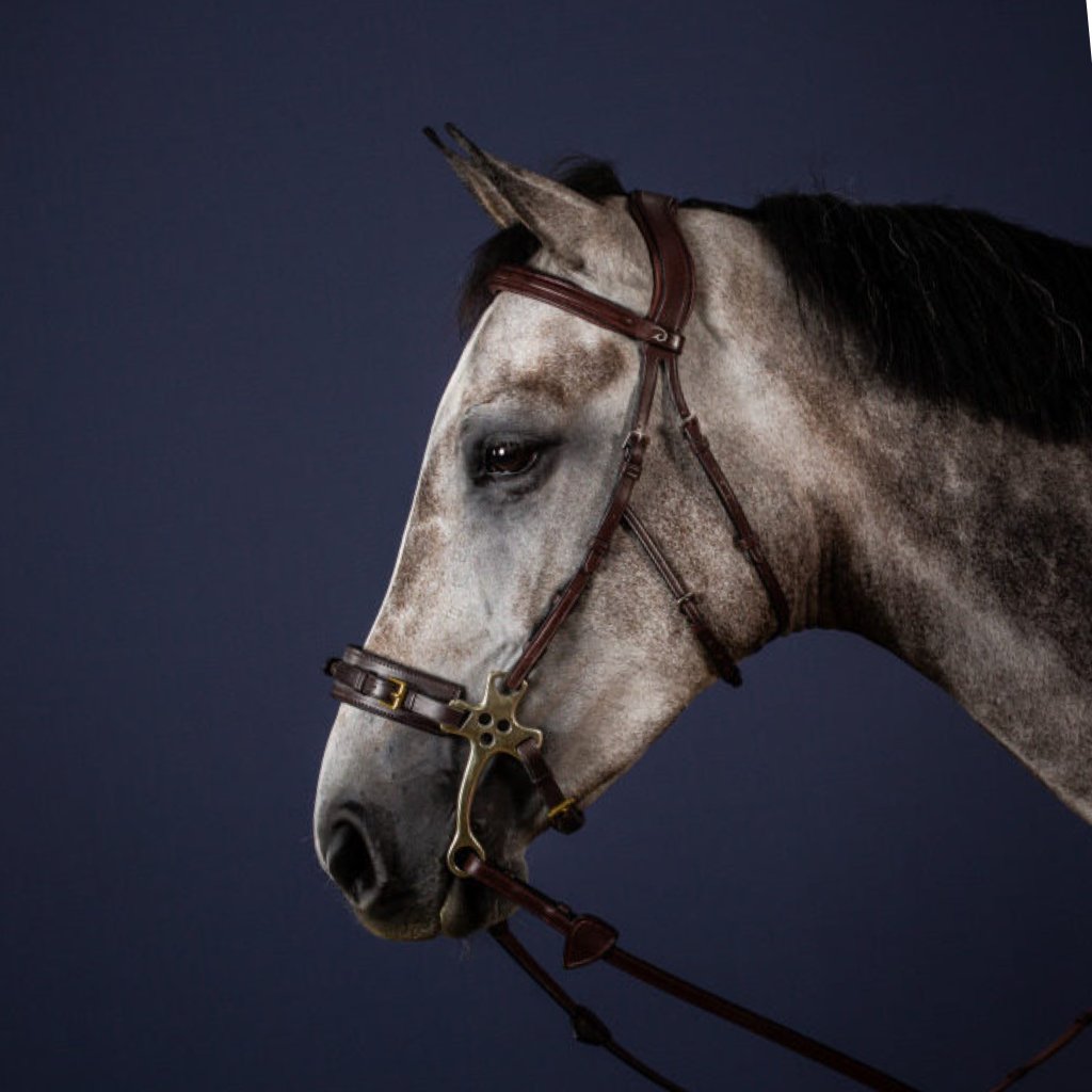 Hackamore Bridle from DYON's New English Collection