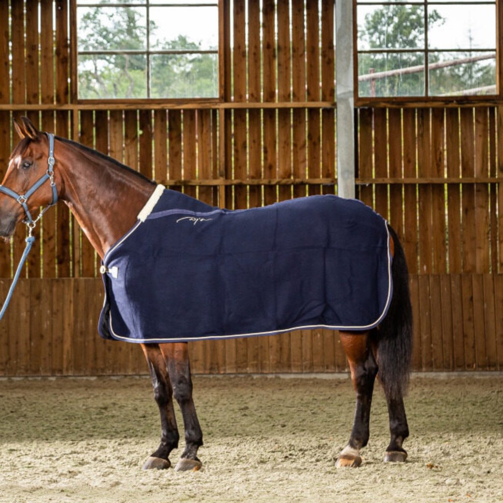 Wool Rug, horse rugs, rug for horse