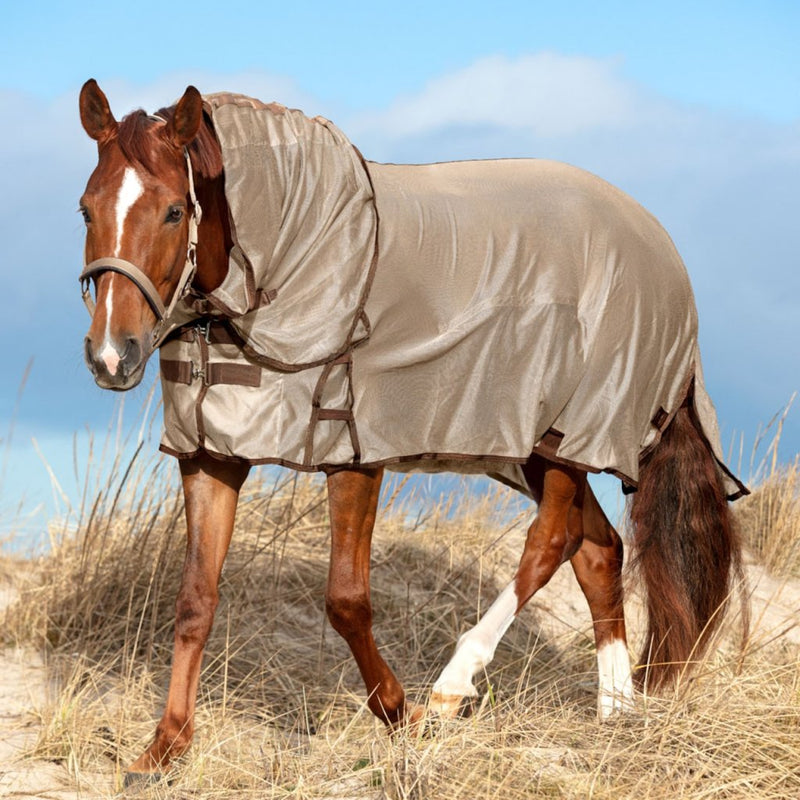 Fly Rug, horse rug, rug for horse