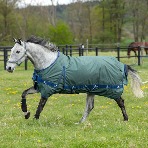 Horse Rug, horse rain rug, rugs for horses