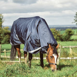  Horse Blanket