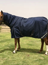  Horse Blanket
