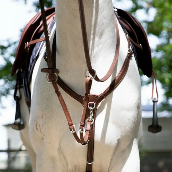 Horse Breastplate, Horse Saddle Pad, horse saddle