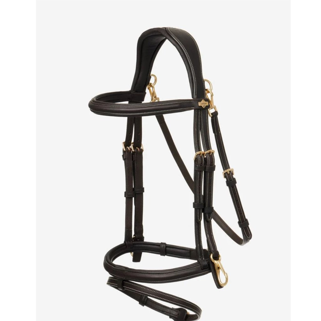 Bridle, Rider Accessories, leather bridle