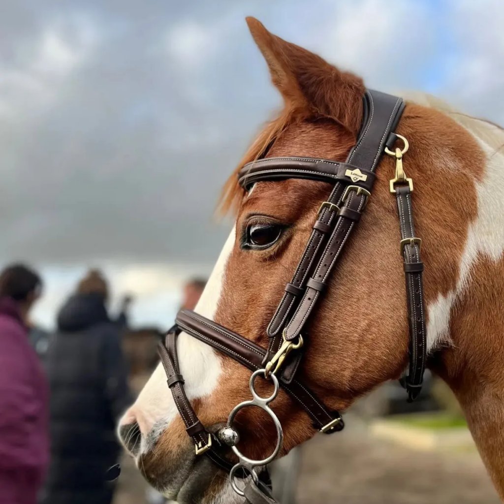 Lemieux Work Bridle: Quality Equestrian Bridle for Your Horse