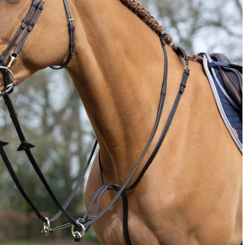 Horse Breastplate, Horse Saddle Pad, horse saddle, Horse reins